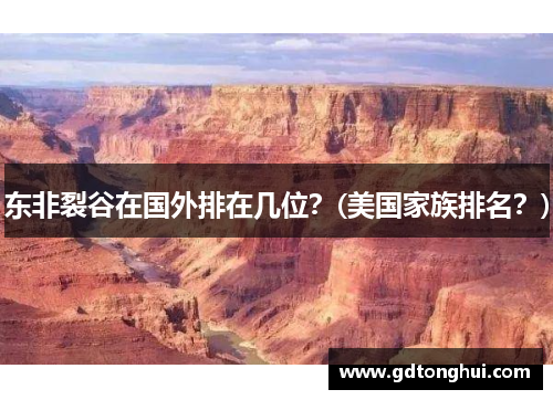 东非裂谷在国外排在几位？(美国家族排名？)