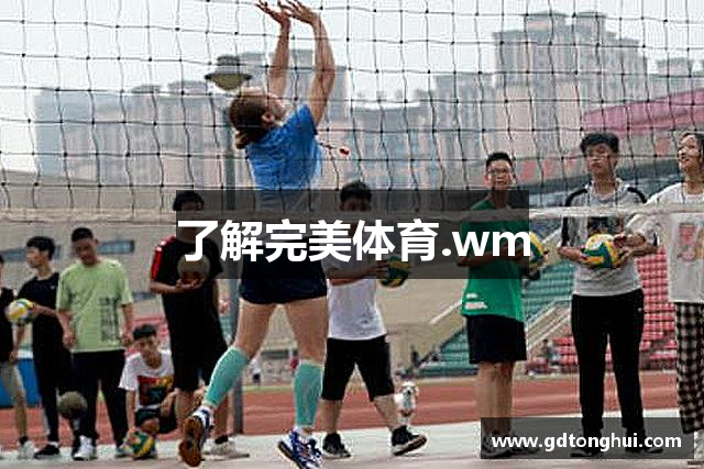 了解完美体育.wm